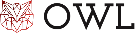 logo-agencia-owl-color