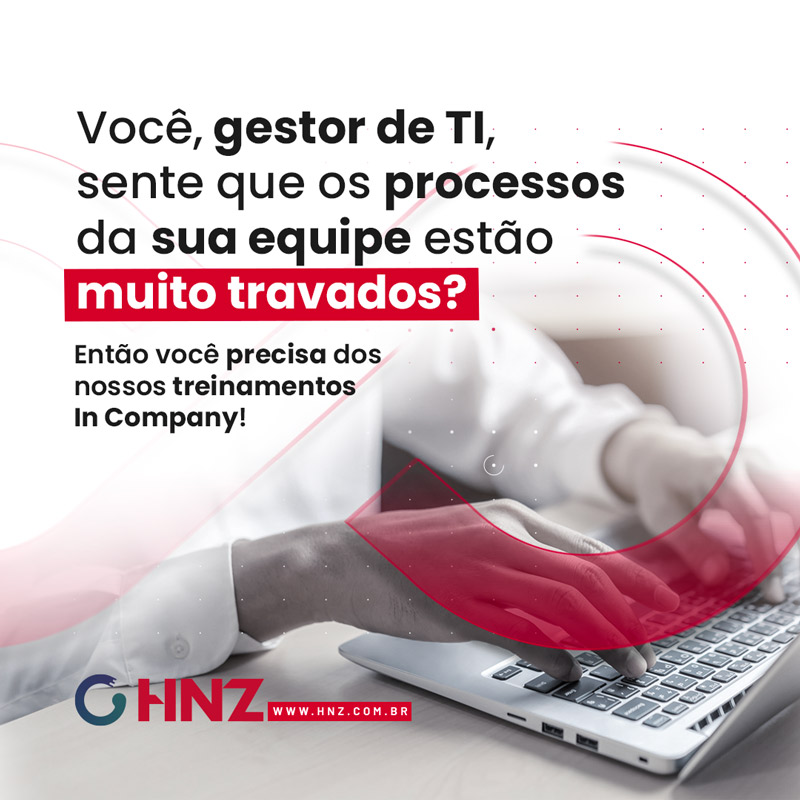 HNZ nas Redes: Estratégia Visual e Conteúdo Criado pela Lubna